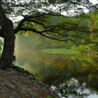 Nitish kadam guW0fgImEXQ unsplash