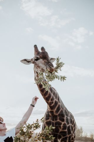 Priscilla du preez ZBTvvLLuhhg unsplash