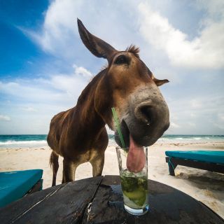 Spencer watson gx181y QOlA unsplash